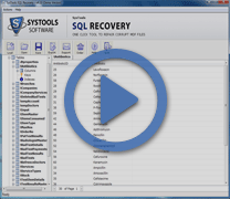 Recover SQL Data